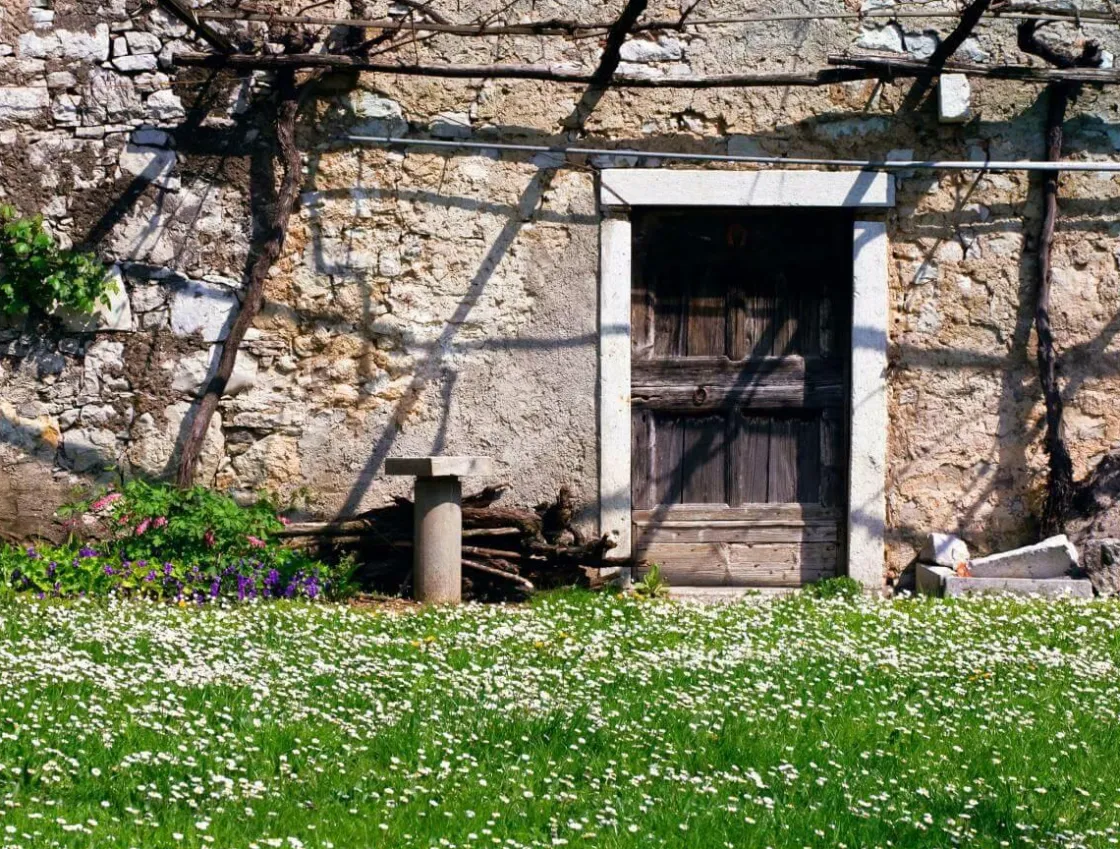 DecoWoerner Pancartas Temáticas|Pancartas De Verano>Pancarta De Lona XXL "Pared De Granja Antigua" De Lona De Camión Ignífuga 250 X 330 Cm