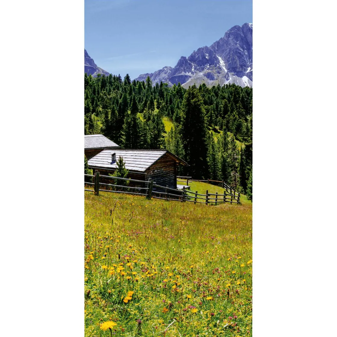 DecoWoerner Decoración De Otoño|Decoración De Verano>Pancarta De Tela Ignífuga "Pasto De Montaña Con Cabaña" De Tela De Bandera 100 X 200 Cm