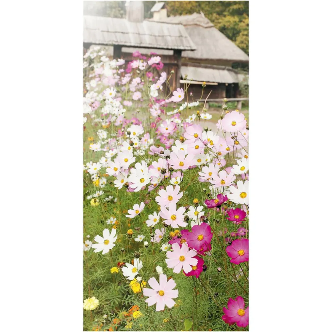 DecoWoerner Decoración De Primavera|Pancartas De Verano>Pancarta De Tela Ignífuga "Pradera De Flores" De Tela De Bandera 100 X 200 Cm