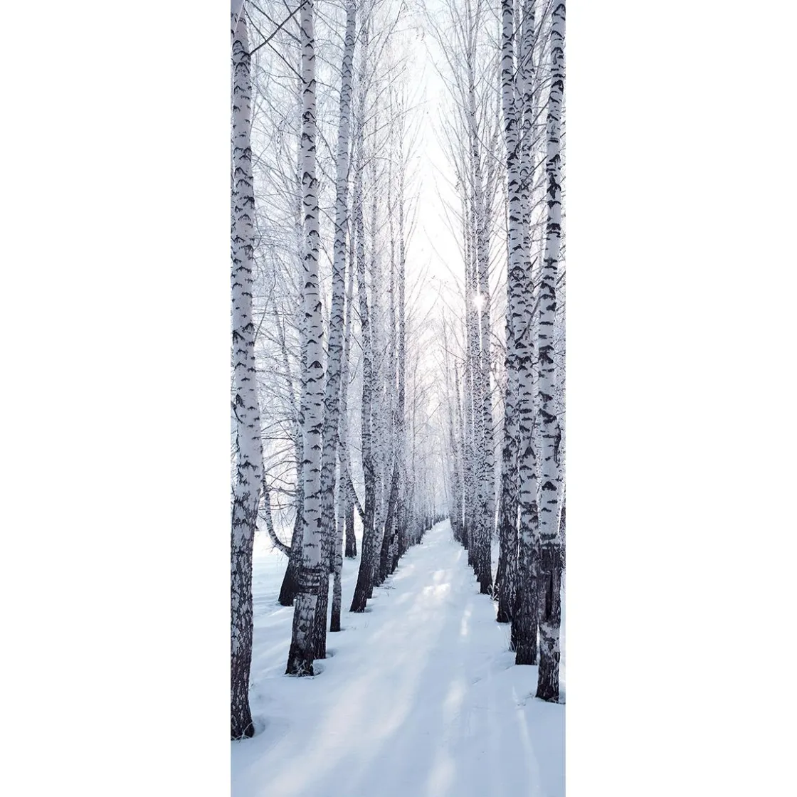 DecoWoerner Decoración De Invierno|Pancartas De Navidad E Invierno>Pancarta De Tela Ignífuga "Winterbirkenallee " De Tela De Bandera 75 X 180 Cm
