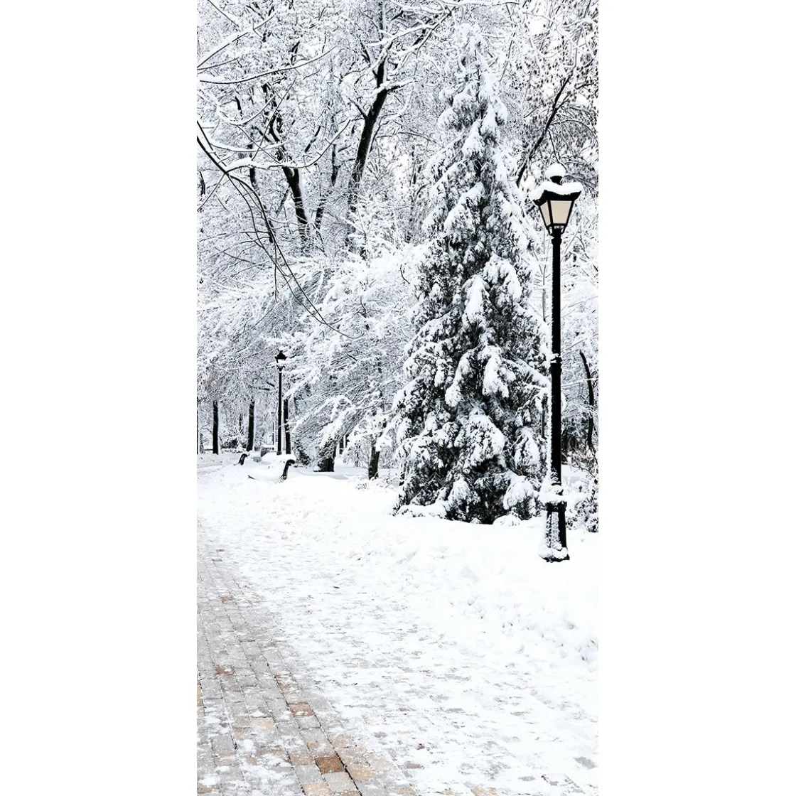 DecoWoerner Decoración De Invierno|Pancartas De Navidad E Invierno>Pancarta De Tela Ignífuga "Parque De Invierno" De Tela De Bandera 100 X 200 Cm