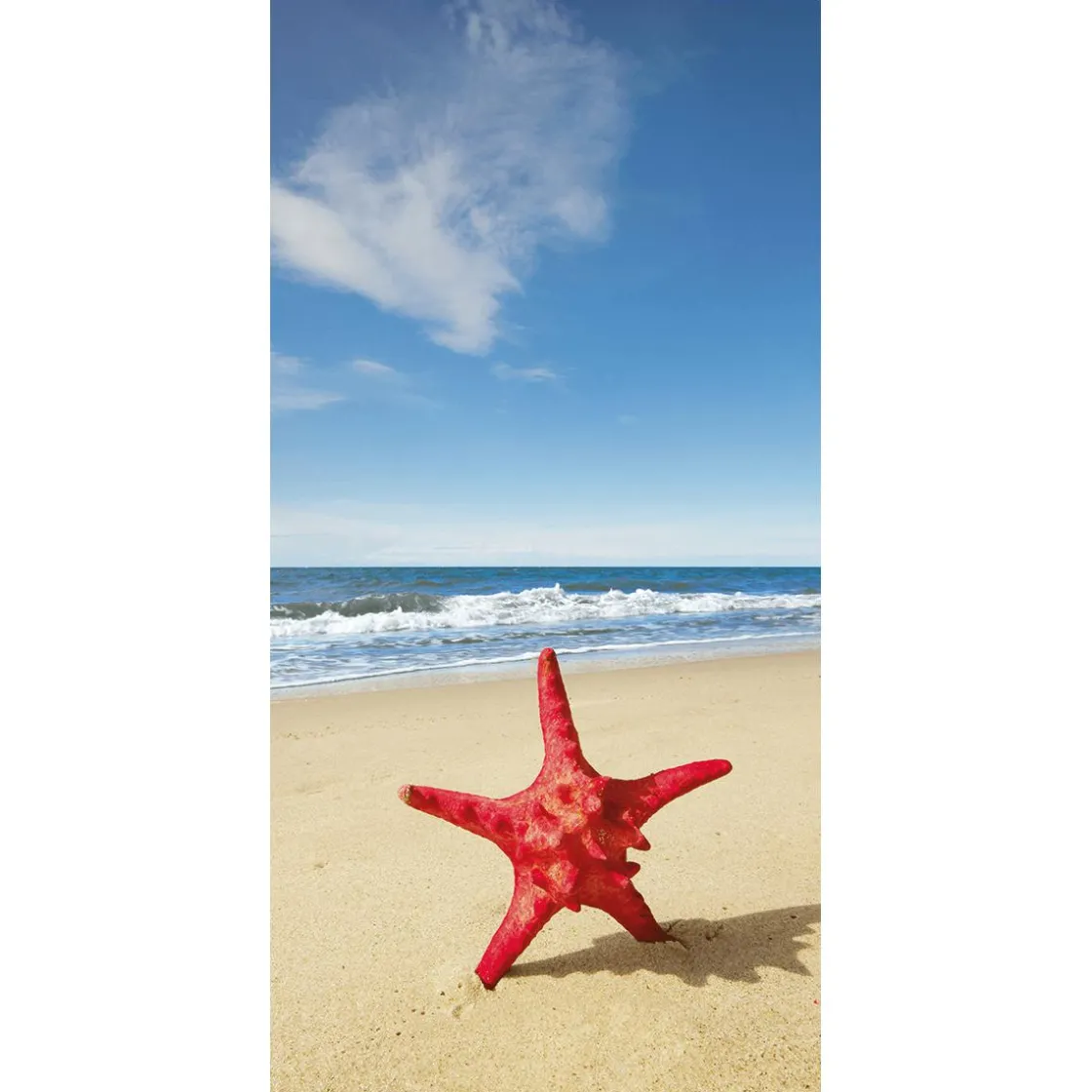 DecoWoerner Decoración De Verano|Pancartas De Verano>Pancarta De Tela Ignífuga "estrella De Mar Roja Junto Al Mar" De Tela De Bandera 100 X 200 Cm