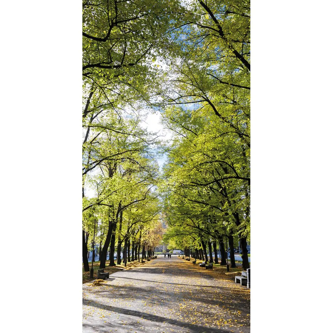 DecoWoerner Decoración De Otoño|Decoración De Verano>Pancarta De Tela Ignífuga "Avenida En El Parque" De Tela De Bandera 100 X 200 Cm