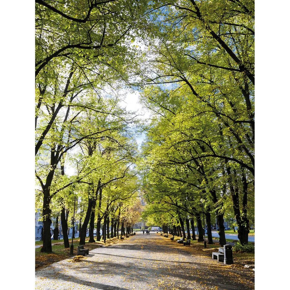 DecoWoerner Bandera Xxl>Pancarta De Tela XL "Avenida En El Parque" De Tela De Bandera Ignífuga 150 X 200 Cm