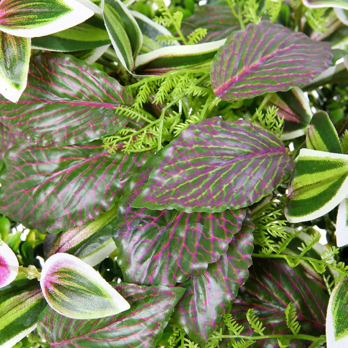 DecoWoerner Decoración De Verano|Paredes De Plantas>Panel Artificial De Arbusto De Fitonia 25 X 25 Cm