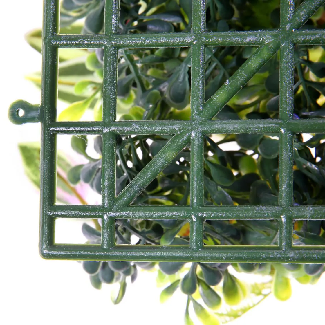 DecoWoerner Decoración De Verano|Paredes De Plantas>Panel Artificial De Arbusto De Fitonia 25 X 25 Cm