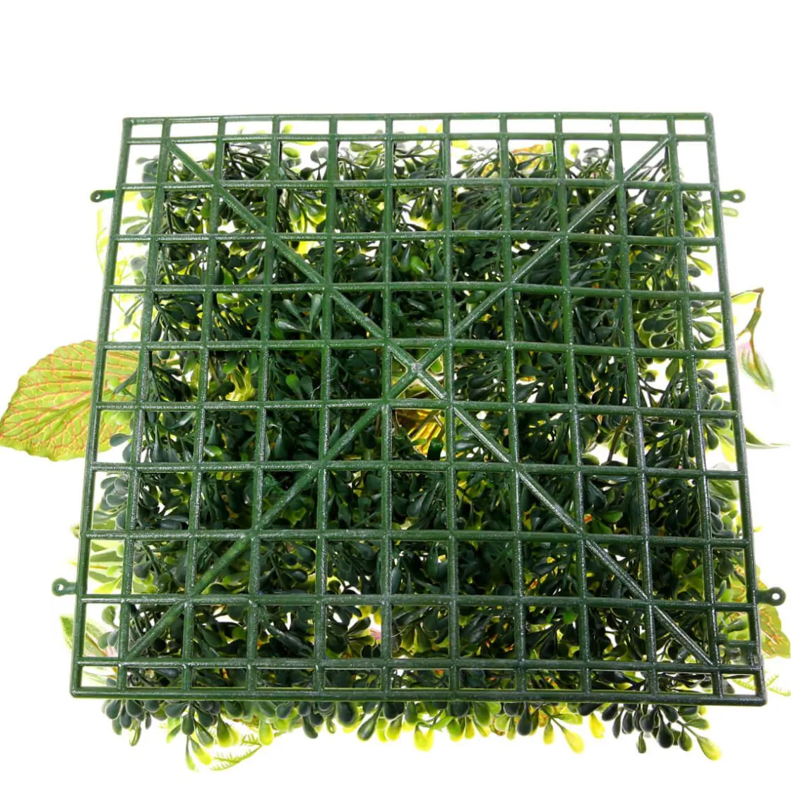 DecoWoerner Decoración De Verano|Paredes De Plantas>Panel Artificial De Arbusto De Fitonia 25 X 25 Cm