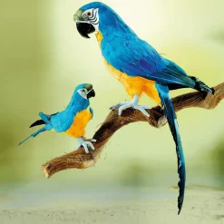 DecoWoerner Decoración De Animales|Decoración De Verano><noscript><img width=