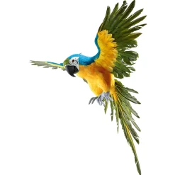 DecoWoerner Decoración De Animales|Decoración De Verano><noscript><img width=