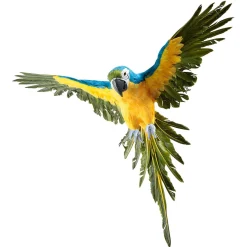 DecoWoerner Decoración De Animales|Decoración De Verano><noscript><img width=