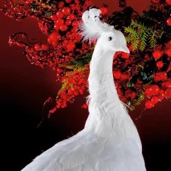 DecoWoerner Decoración De Animales|Decoración Temática><noscript><img width=