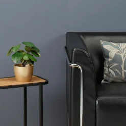 DecoWoerner Plantas De Interior><noscript><img width=