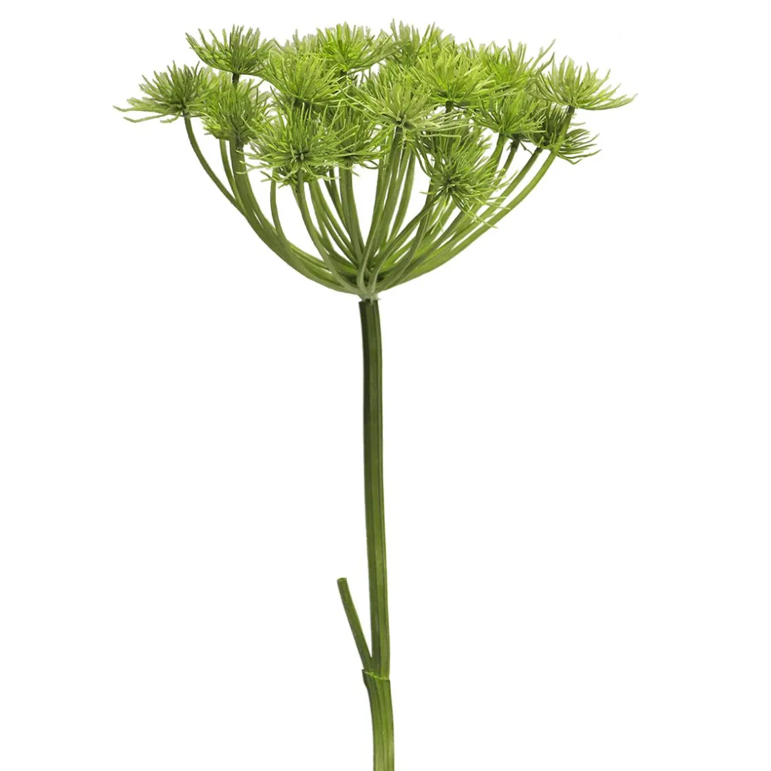DecoWoerner Flores Artificiales>Planta Artificial Heracleum Giant Hogweed 98 Cm