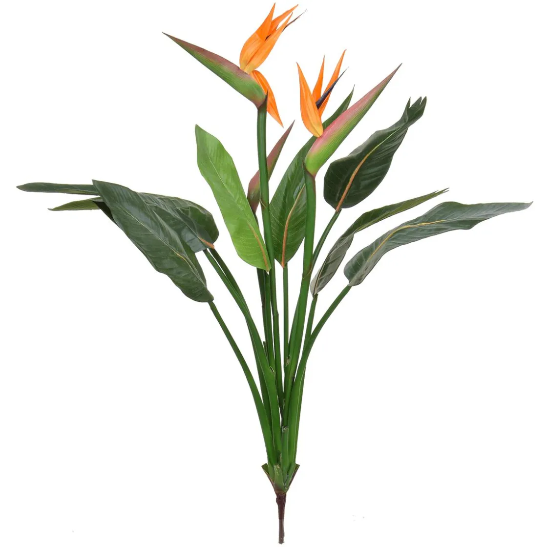 DecoWoerner Plantas De Interior|Plantas Artificiales Ignífugas>Planta Artificial Sterlizia Pick Con Flores 103 Cm