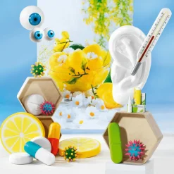 DecoWoerner Decoración Temática><noscript><img width=