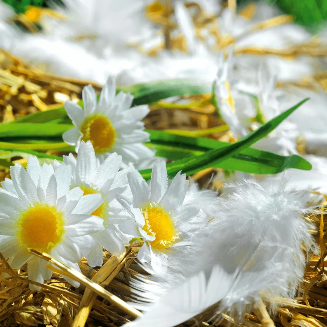 DecoWoerner Decoración Dispersa|Decoración De Pascua>Plumas Decorativas Blancas, 20 G