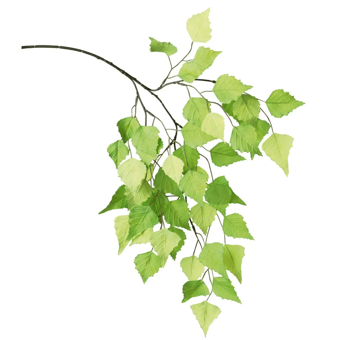 DecoWoerner Decoración Temática|Decoración De Primavera>Rama De Abedul Artificial, 60 Cm