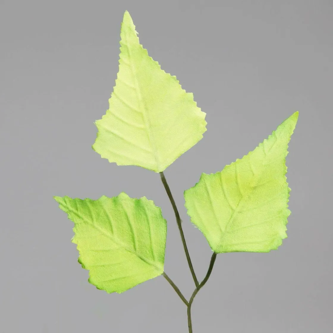 DecoWoerner Decoración Temática|Decoración De Primavera>Rama De Abedul Artificial, 60 Cm