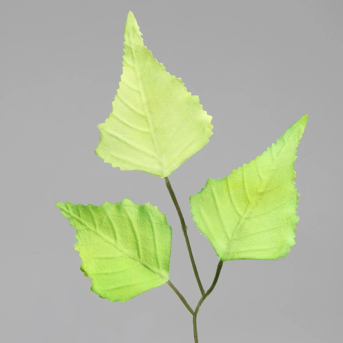 DecoWoerner Decoración Temática|Decoración De Primavera>Rama De Abedul Artificial, 60 Cm