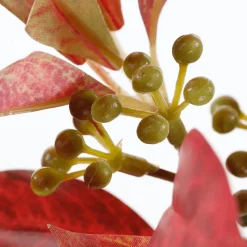 DecoWoerner Decoración De Otoño|Ramas Y Ramitas><noscript><img width=