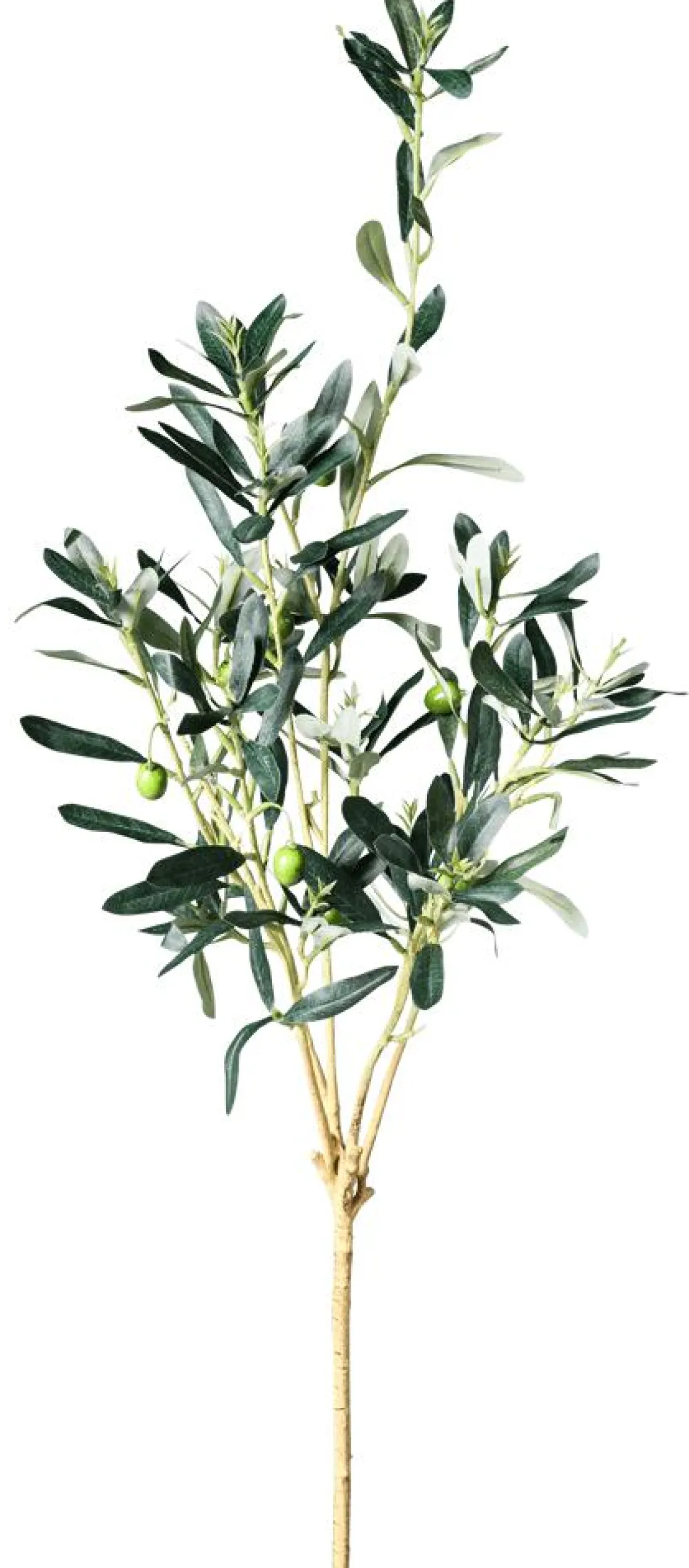 DecoWoerner Ramas Y Ramitas>Rama De Olivo Artificial, 84 Cm