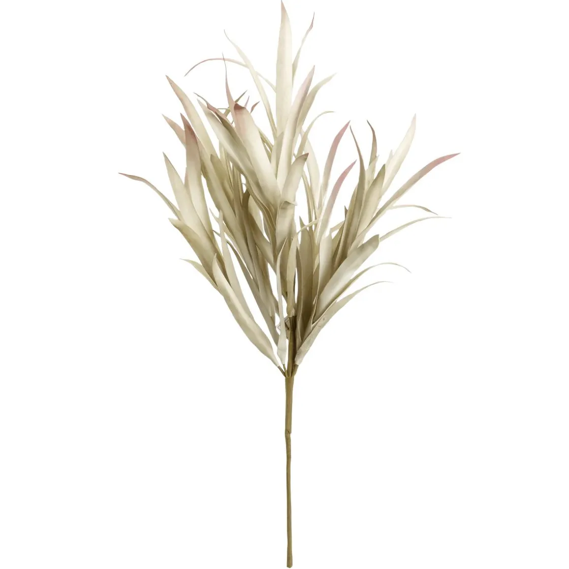 DecoWoerner Decoración De Otoño|Ramas Y Ramitas>Rama De Sauce Artificial Con Hojas Largas 2 Piezas, 62 Cm Claro