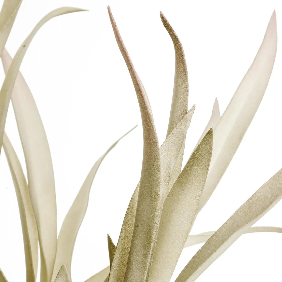 DecoWoerner Decoración De Otoño|Ramas Y Ramitas>Rama De Sauce Artificial Con Hojas Largas 2 Piezas, 62 Cm Claro