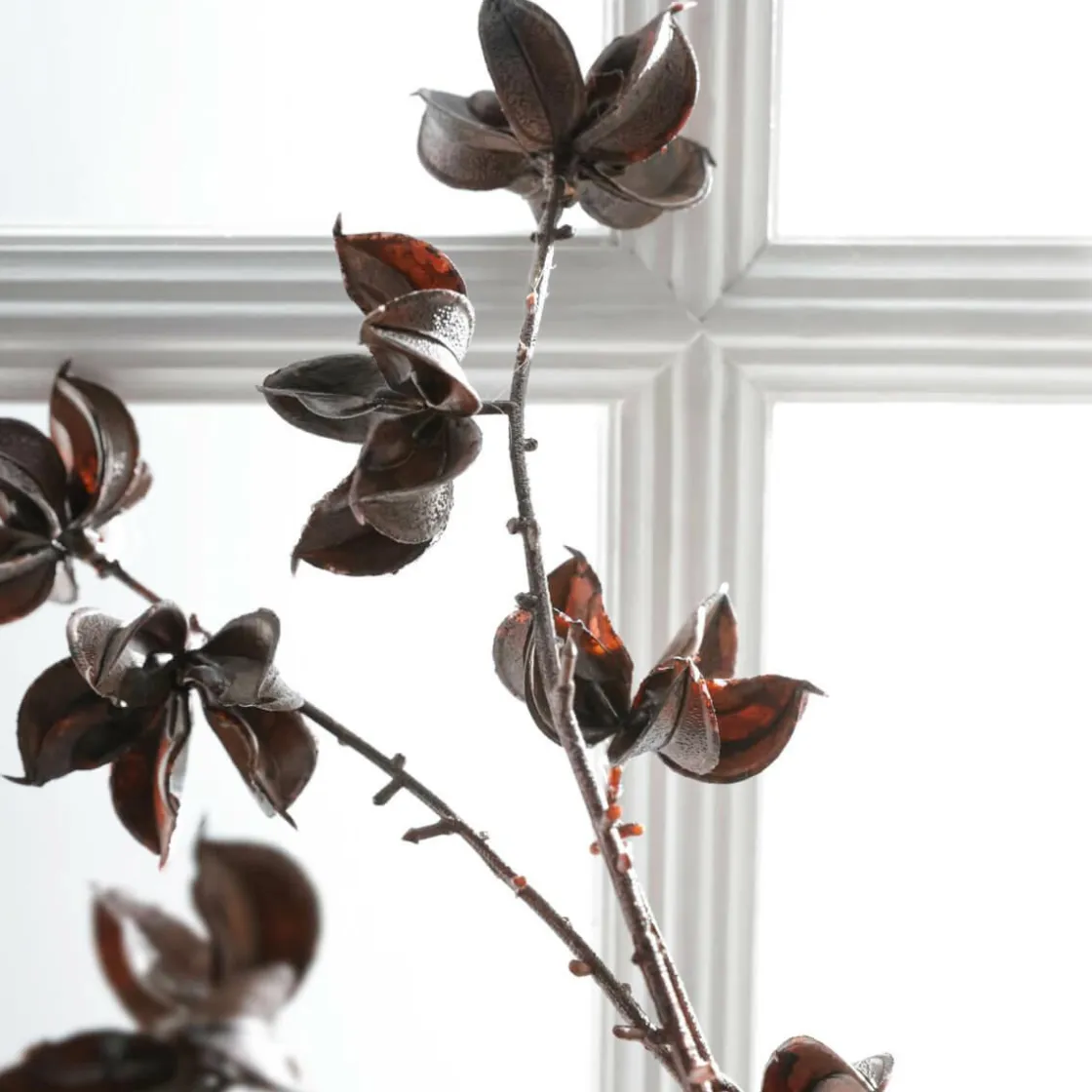 DecoWoerner Ramas Y Ramitas>Rama Decorativa Infrutescencia Del Algodón 110 Cm
