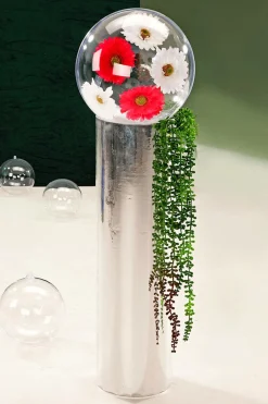 DecoWoerner Plantas Verdes|Plantas Colgantes><noscript><img width=