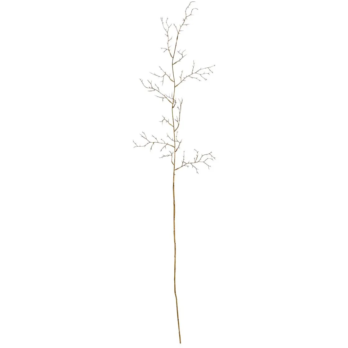 DecoWoerner Ramas Y Ramitas>Ramita Decorativa Espinas , Longitud 110 Cm