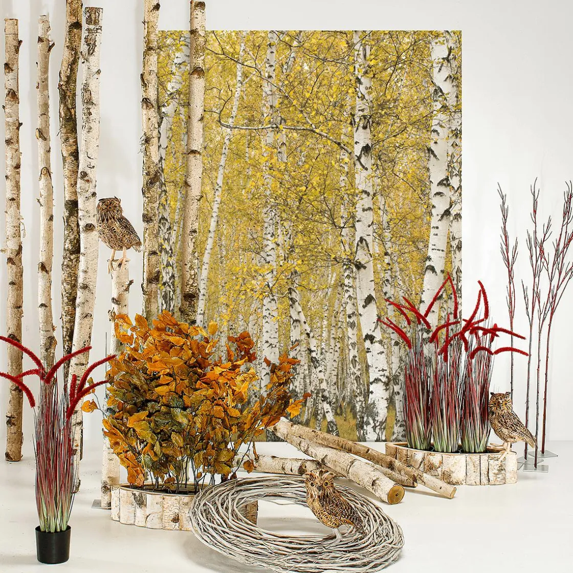 DecoWoerner Decoración De Otoño|Ramas Y Ramitas>Ramitas De Haya Auténticas, Amarillo - Naranja 80 Cm