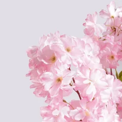DecoWoerner Decoración De Primavera|Árboles Artificiales><noscript><img width=