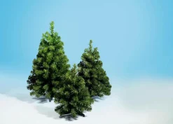 DecoWoerner Árboles De Mesa Y Ramas De Abeto|Árboles De Navidad Artificiales><noscript><img width=
