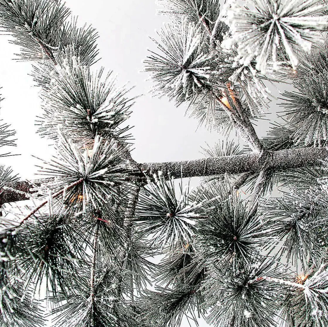 DecoWoerner Decoración De Invierno|Árboles Artificiales>Árbol De Navidad Artificial Colgante Pino Con Agujas Escarchadas Y LED 300 Cm