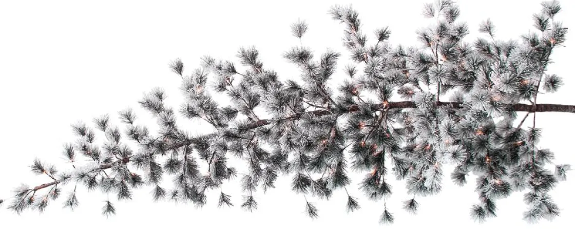 DecoWoerner Decoración De Invierno|Árboles Artificiales>Árbol De Navidad Artificial Colgante Pino Con Agujas Escarchadas Y LED 300 Cm