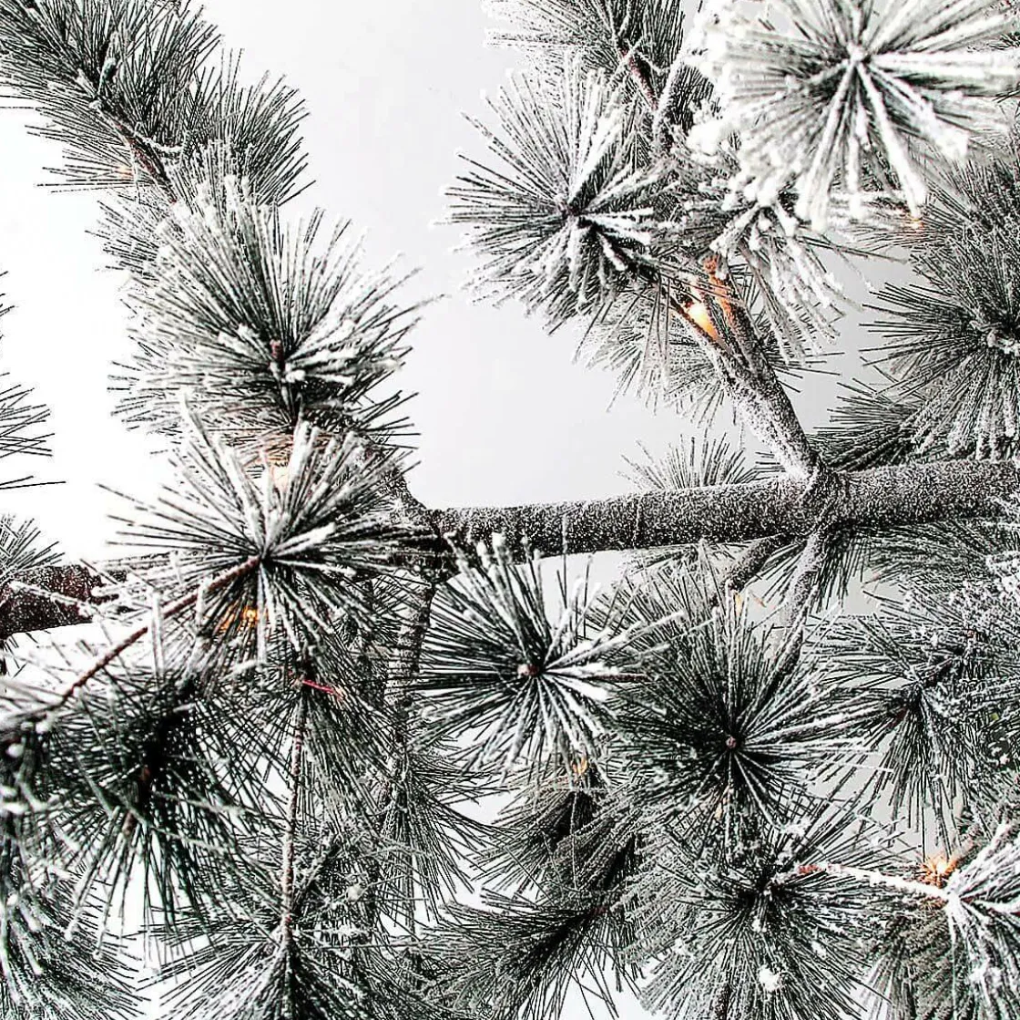 DecoWoerner Decoración De Invierno|Árboles Artificiales>Árbol De Navidad Artificial Colgante Pino Con Agujas Escarchadas Y LED 300 Cm
