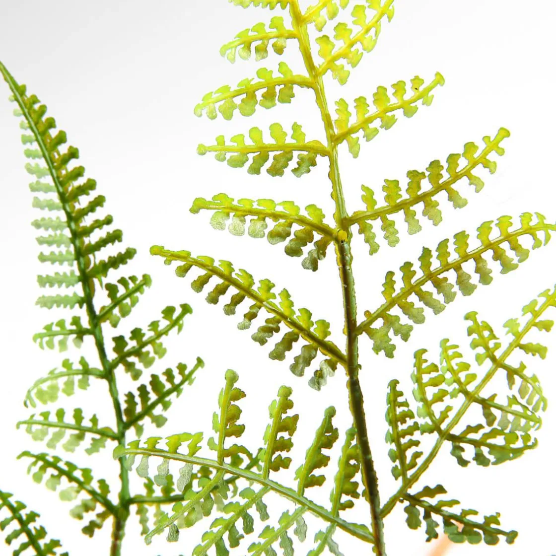 DecoWoerner Decoración De Primavera|Plantas Verdes>Recogida De Helecho Artificial Ø 30 Cm