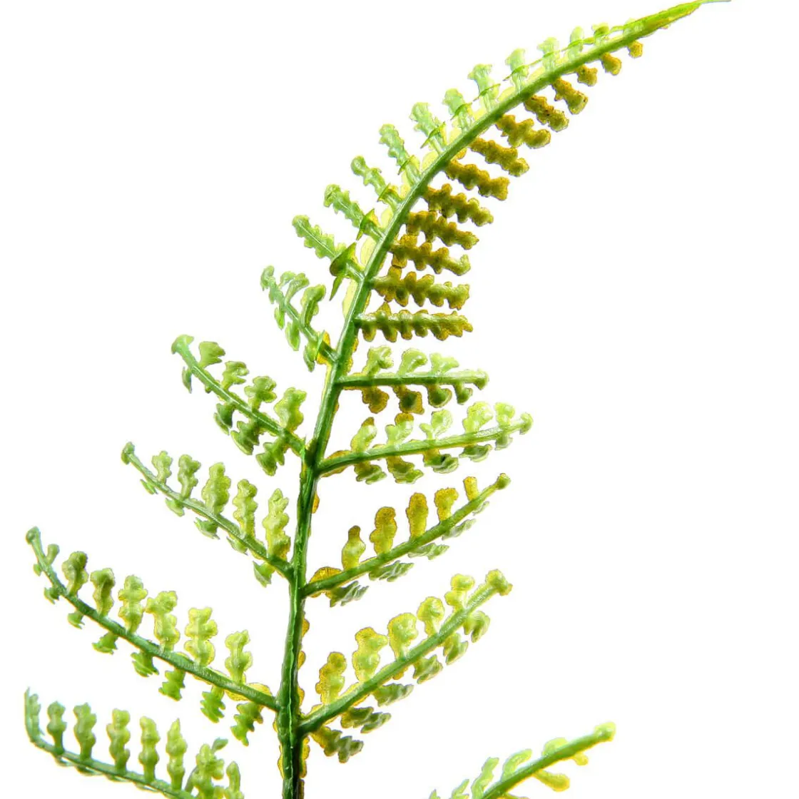 DecoWoerner Decoración De Primavera|Plantas Verdes>Recogida De Helecho Artificial Ø 30 Cm
