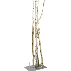 DecoWoerner Decoración Natural|Macetas Y Artículos De Decoración><noscript><img width=