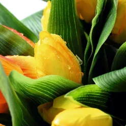 DecoWoerner Decoración De Primavera|Ramos Y Coronas De Flores><noscript><img width=