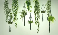 DecoWoerner Decoración De Primavera|Plantas Verdes>Tradecantia Colgante En Maceta De 65 Cm