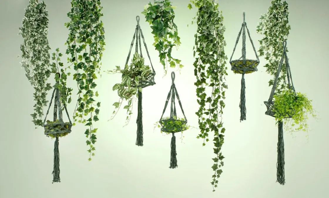 DecoWoerner Decoración De Primavera|Plantas Verdes>Tradecantia Colgante En Maceta De 65 Cm