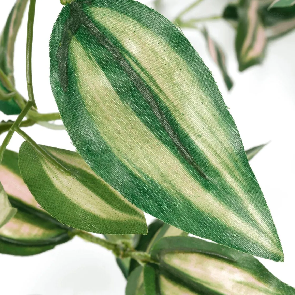 DecoWoerner Decoración De Primavera|Plantas Verdes>Tradecantia Colgante En Maceta De 30 Cm De Altura