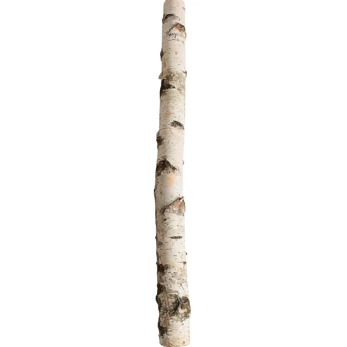 DecoWoerner Decoración Natural>Tronco De Abedul 100 Cm Aprox. 6-10 Cm Ø