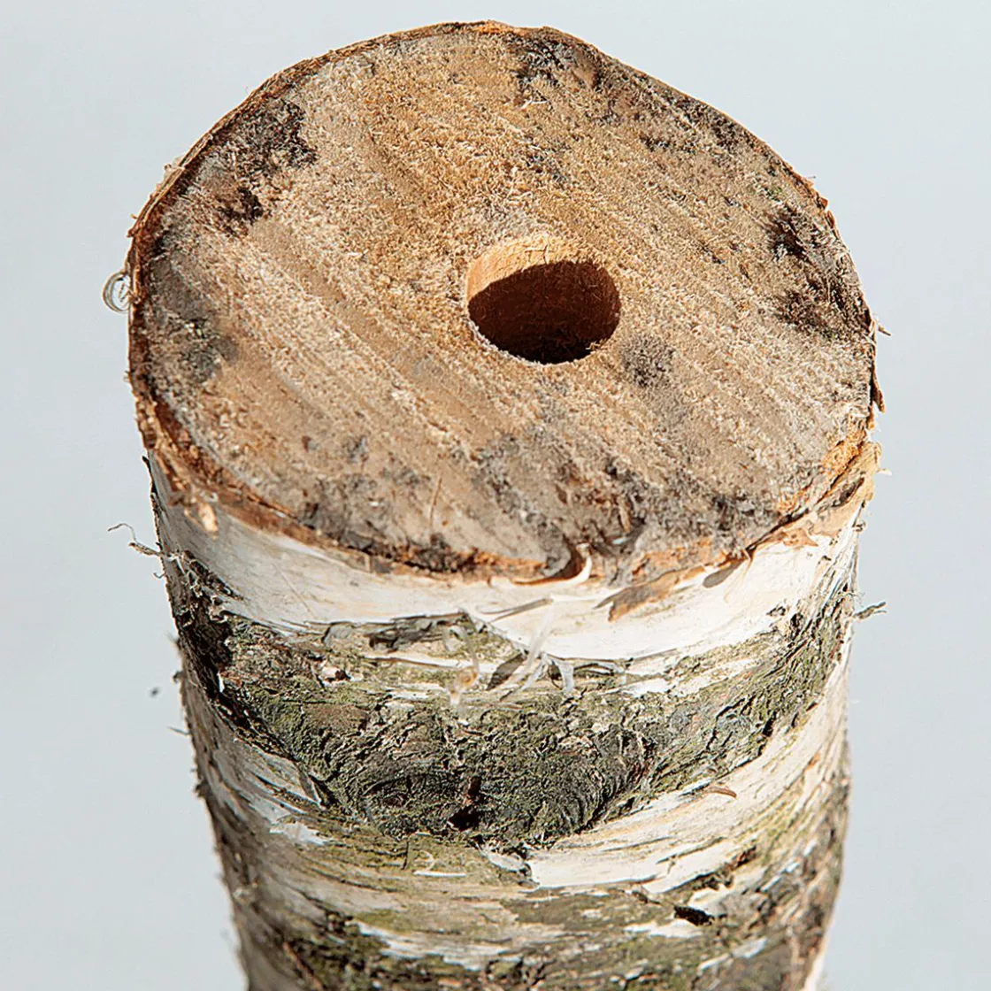 DecoWoerner Decoración Natural>Tronco De Abedul 100 Cm Aprox. 6-10 Cm Ø