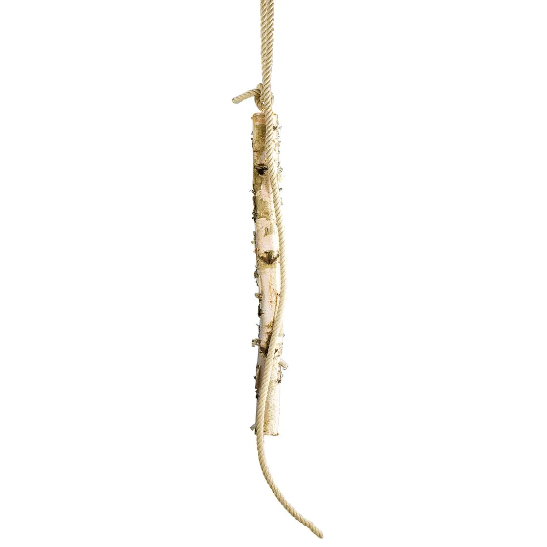 DecoWoerner Decoración Natural>Tronco De Abedul 100 Cm Aprox. 6-10 Cm Ø