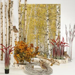 DecoWoerner Decoración Natural><noscript><img width=