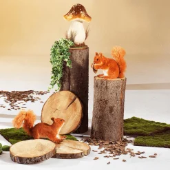 DecoWoerner Decoración Natural|Decoración De Otoño><noscript><img width=