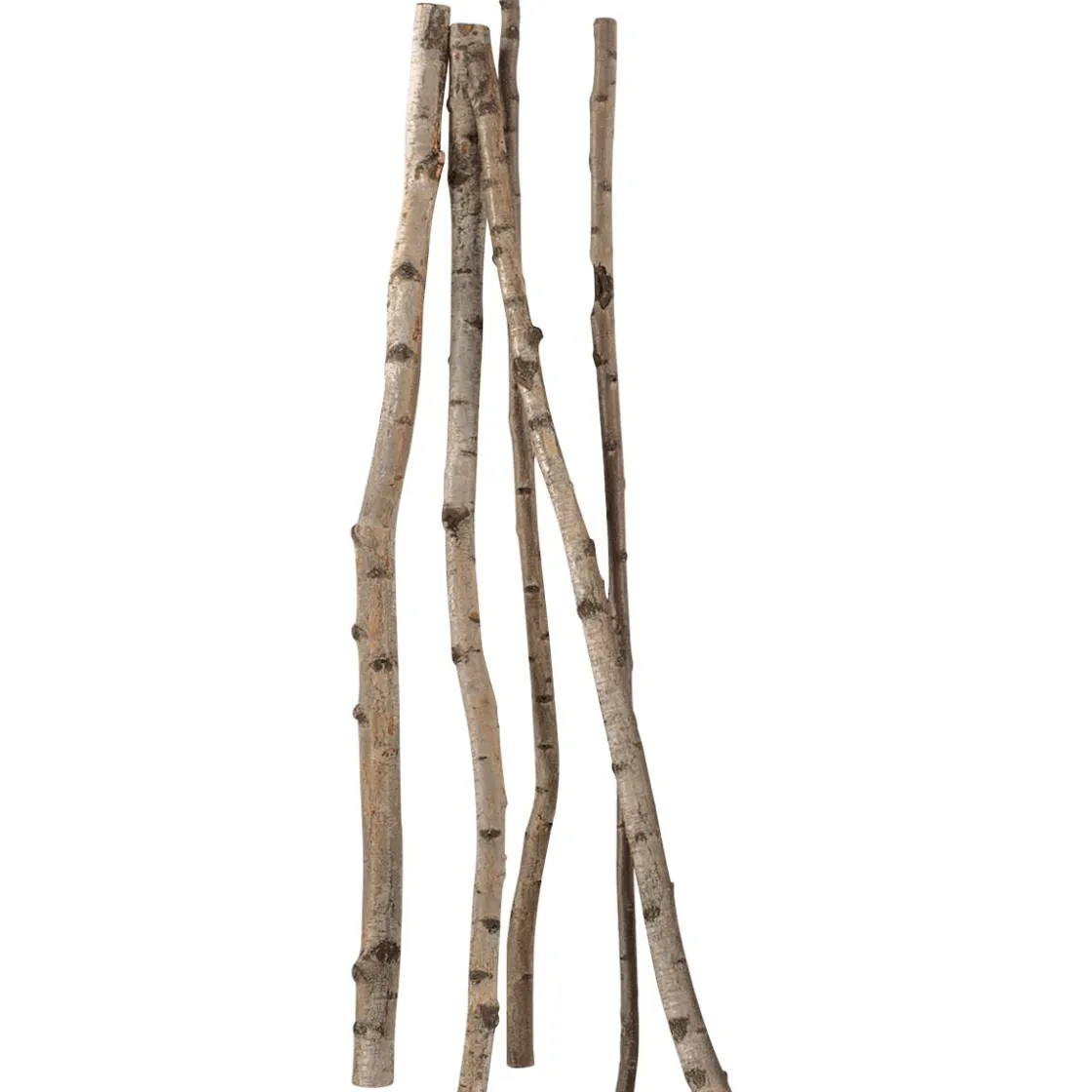 DecoWoerner Decoración Natural|Decoración Temática>Troncos De Abedul Decorativos, 170 Cm, 5 Piezas