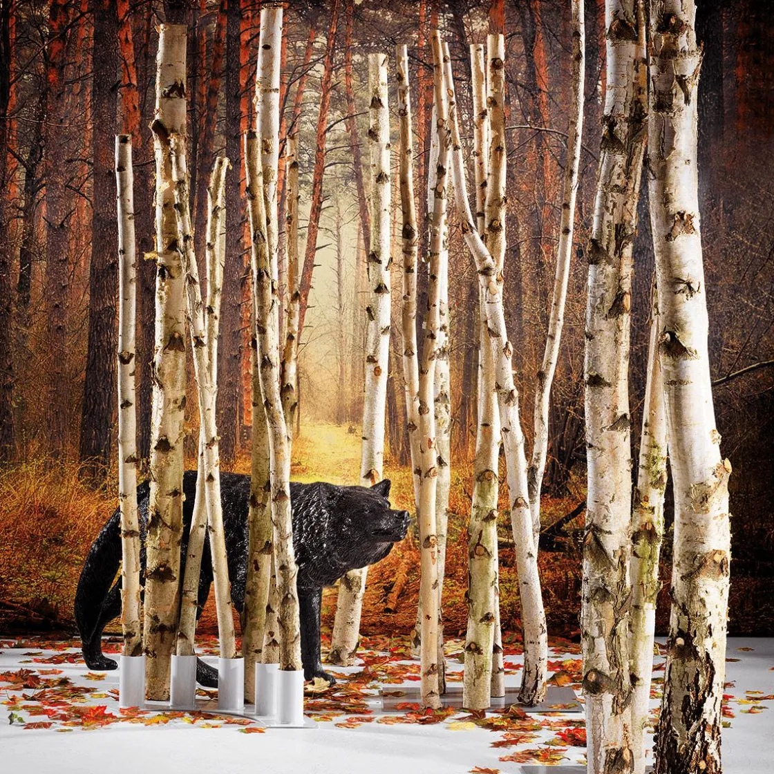 DecoWoerner Decoración Natural|Decoración Temática>Troncos De Abedul Decorativos, 170 Cm, 5 Piezas